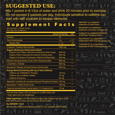 Kinetic Pre Workout - Ambrosia Collective (24 srvs)